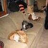 Halloween-2008-10-26-012601