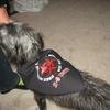 Halloween-2014-10-18-092721