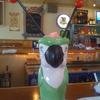 Vacation-2010-04-12-124053