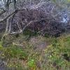 Vacation-2010-04-13-161601