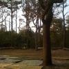 Vacation-2010-04-13-180700