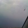 Vacation-2010-04-13-191203