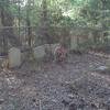 Vacation-2010-04-16-174111