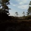 Vacation-2010-04-16-175434