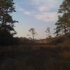 Vacation-2010-04-16-175458