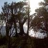 Vacation-2010-04-16-175833