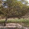 Vacation-2010-04-16-175855