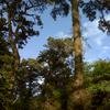Vacation-2010-04-16-181317