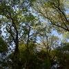 Vacation-2010-04-16-182619