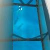 Vacation-2011-03-28-123135