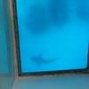 Vacation-2011-03-28-123321