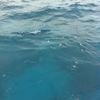 Vacation-2011-03-28-123411