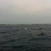 Vacation-2011-03-28-123619