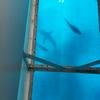 Vacation-2011-03-28-123911
