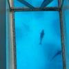 Vacation-2011-03-28-124142