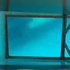 Vacation-2011-03-28-124935