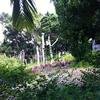 Vacation-2011-03-29-112245