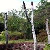 Vacation-2011-03-29-112457