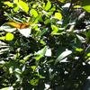Vacation-2011-03-29-112701