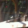 Vacation-2011-03-29-113259