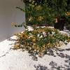 Vacation-2011-03-29-113633