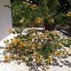 Vacation-2011-03-29-113636