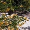 Vacation-2011-03-29-113641