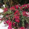 Vacation-2011-03-29-113648