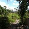 Vacation-2011-03-29-124602