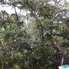 Vacation-2011-03-29-130601