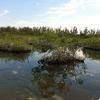 Vacation-2011-03-29-130735
