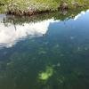 Vacation-2011-03-29-130845