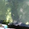 Vacation-2011-03-29-130851