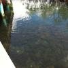 Vacation-2011-03-29-130929