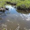 Vacation-2011-03-29-131022