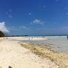 Vacation-2011-03-29-131416