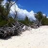 Vacation-2011-03-29-131431