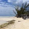 Vacation-2011-03-29-131435
