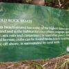Vacation-2011-03-29-141520