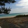 Vacation-2011-03-29-151651