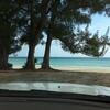 Vacation-2011-03-29-151656