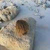 Vacation-2012-11-06-155124