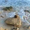Vacation-2012-11-06-155139