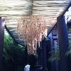 Vacation-2012-11-07-084535