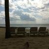 Vacation-2012-11-07-101458