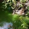Vacation-2012-11-07-111736
