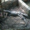 Vacation-2012-11-07-111916