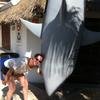 Vacation-2012-11-07-134138