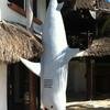 Vacation-2012-11-07-134202