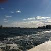 Vacation-2012-11-07-135919